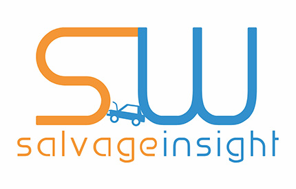 Salvage Insight: A New Way to Bring Your Ideas to Life