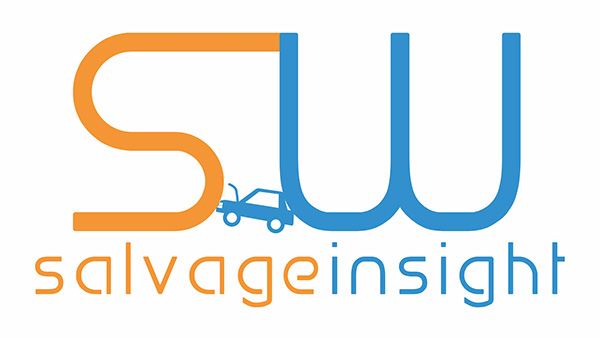 Salvage Insight: A New Way to Bring Your Ideas to Life soc